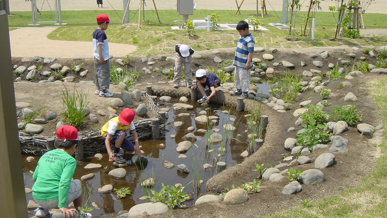 大在西小学校ビオトープ／大分市