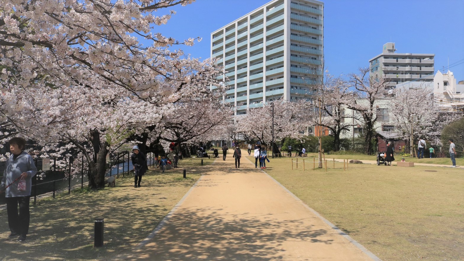 大分城址公園／大分市